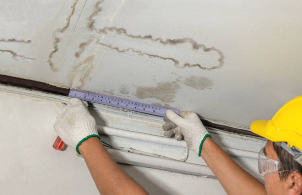 Reliable Structural Drying contractor in Annandale, NJ by Water Damage Irwin